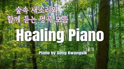 숲속의 피아노 새소리와 함께하는 힐링 명곡 모음