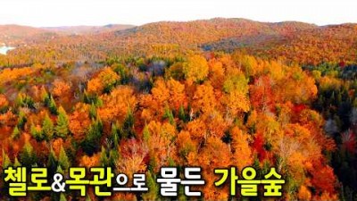 마음이 편안해지는 아름다운 가을 클래식 연주곡 | 아침에 듣기 좋은 클래식
