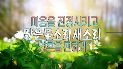 새소리 음악